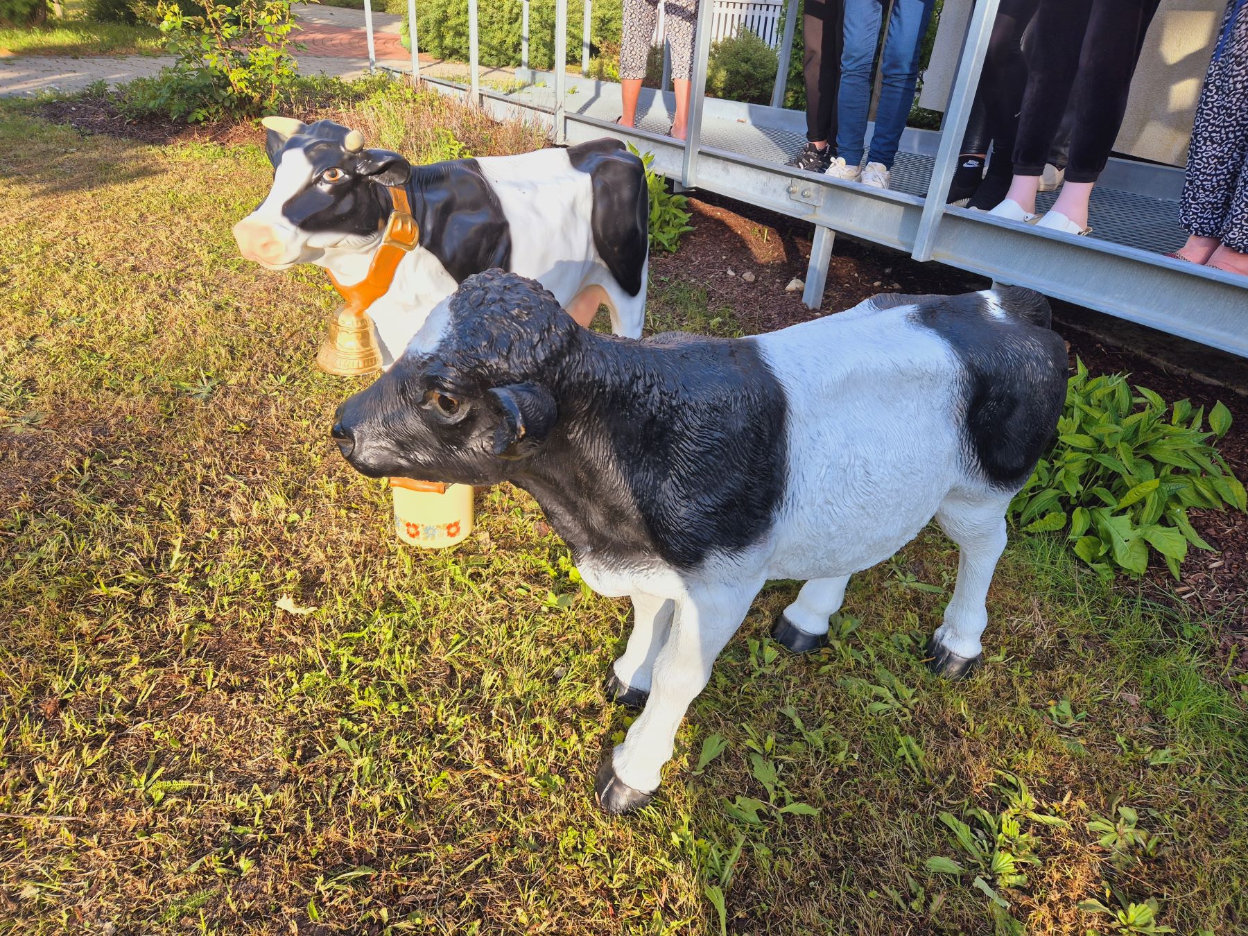 teraapiaelemendid: loomad